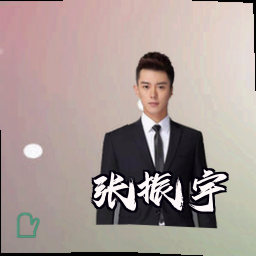 张振宇